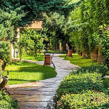 Hotel Saritas